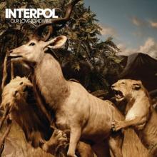 INTERPOL  - CD OUR LOVE TO ADMIRE