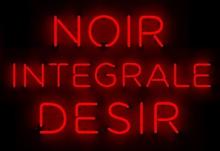 NOIR DESIR  - 19xCD+DVD INTEGRALE-BOX SET/CD+DVD-