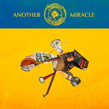  ANOTHER MIRACLE [VINYL] - supershop.sk