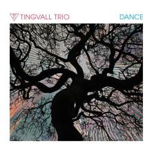  DANCE [VINYL 1LP 180 GRAM] [VINYL] - suprshop.cz