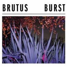  BURST -COLOURED- [VINYL] - supershop.sk