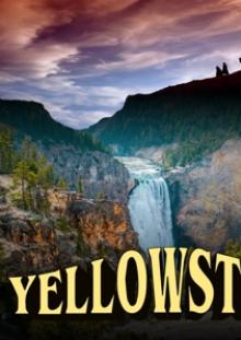 FEATURE FILM  - DVD YELLOWSTONE