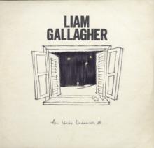 GALLAGHER LIAM  - VINYL ALL YOU'RE DREAMING OF [VINYL]