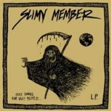 SLIMY MEMBER  - VINYL UGLY MUSIC FOR UGLY.. [VINYL]