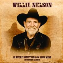 WILLIE NELSON  - VINYL IS THERE SOMET..