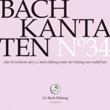  BACH KANTATEN NO.34 - supershop.sk