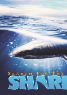 FEATURE FILM  - DVD SEARCH FOR THE GREAT SHARKS