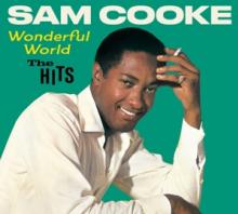 COOKE SAM  - CD WONDERFUL WORLD.. [DIGI]