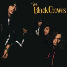 BLACK CROWES  - VINYL SHAKE YOUR.. -ANNIVERS- [VINYL]