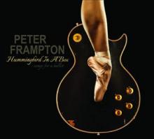 FRAMPTON PETER  - VINYL HUMMINGBIRD IN A BOX -HQ- [VINYL]