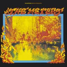 METERS  - CD FIRE ON THE BAYOU..