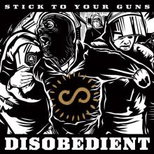  DISOBEDIENT -COLOURED- [VINYL] - suprshop.cz