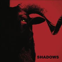  SHADOWS (GOLD VINYL) [VINYL] - supershop.sk