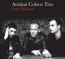 COHEN AVISHAI -TRIO-  - CD GENTLY DISTURBED
