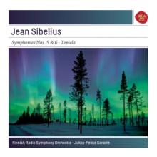SIBELIUS JEAN  - CD SYMPHONIES NO.5