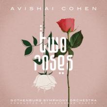 COHEN AVISHAI  - CD TWO ROSES