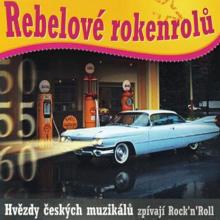 REBELOVE ROKENROLU  - CD HVEZDY CESKYCH MU..