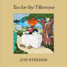  TEA FOR THE.../DLX LTD [VINYL] - supershop.sk