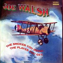 WALSH JOE  - 2xVINYL SMOKER YOU D..