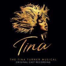  TINA: THE TINA TURNER MUSICAL [VINYL] - supershop.sk