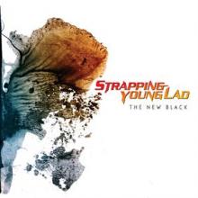 STRAPPING YOUNG LAD  - VINYL NEW BLACK -COLOURED- [VINYL]