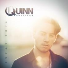 SULLIVAN QUINN  - CD WIDE AWAKE [DIGI]