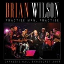 BRIAN WILSON  - CD PRACTISE MAN, PRACTISE