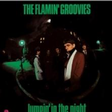 FLAMIN' GROOVIES  - VINYL JUMPIN' IN THE..