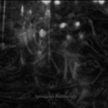 DARK OPUS - CD IGNOMINIOUS FUNDAMENTALS