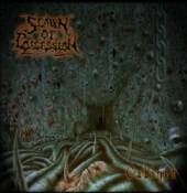 SPAWN OF POSSESSION  - CD CABINET
