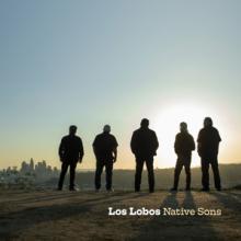 LOS LOBOS  - CD NATIVE SONS
