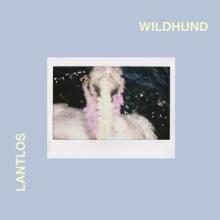 LANTLOS  - CD WILDHUND [DIGI]