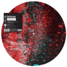  DIGITAL BATH - RSD 2021 RELEASE - PICTURE DISC - supershop.sk