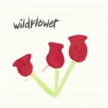 WILDFLOWER  - VINYL BETTER TIMES [VINYL]