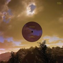  SKY DICE / MAPPING THE.. [VINYL] - suprshop.cz