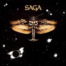  SAGA [VINYL] - supershop.sk