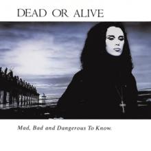  MAD, BAD AND DANGEROUS 3RD ALBUM BY PETE BURNS' HI-NRG BAND 'DEAD OR ALIVE' - supershop.sk