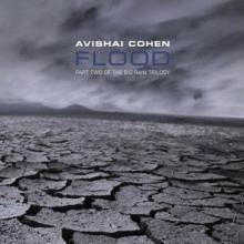 COHEN AVISHAI  - CD FLOOD