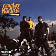  NAUGHTY BY NATURE [VINYL] - supershop.sk