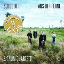SCHUBERT FREDERIC  - CD AUS DER FERNE -.. -SACD-