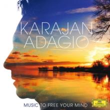  ADAGIO:MUSIC TO FREE THE - supershop.sk