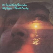 CROSBY DAVID  - 2xCD IF I COULD ONLY REMEMBER MY NAME