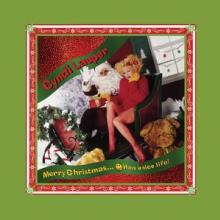  MERRY CHRISTMAS...HAVE A NICE LIFE! / RED&WHITE VINYL -COLOURED- [VINYL] - supershop.sk