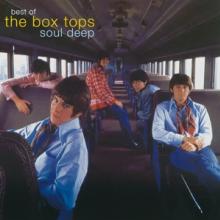 BOX TOPS  - CD BEST OF...SOUL.. -REMAST-