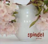 SPINDEL  - CD AMINJE