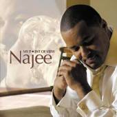 NAJEE  - SA MY POINT OF VIEW
