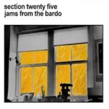 SECTION 25  - CD JAMS FROM THE BARDO