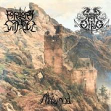  FORLORN CITADEL / MIRKWOOD / SPELLS OF FOG (LTD.DI - supershop.sk