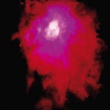  UP THE DOWNSTAIR [VINYL] - suprshop.cz