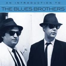 BLUES BROTHERS  - CD AN INTRODUCTION TO